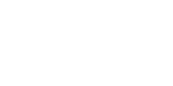 Stadtwerke Stralsund – Goldsponsor des Stralsunder HV